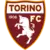 Torino logo